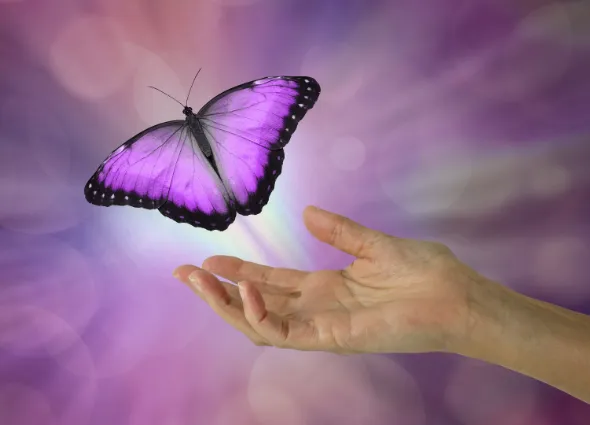 Gaia te ayuda a ampliar la comprensión y autoconocimiento propio, experimentar sensaciones de liberación emocional profunda y desbloquear patrones heredados del sistema familiar.